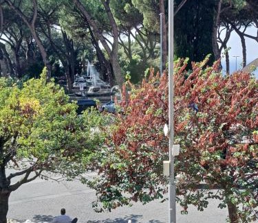 Tivoli Bed & Breakfast | affittacamere da Fenix