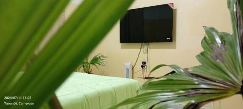 Yaounde Resort | AFRIEUROTEXT Kamerun-High Standing-Appartements-Wifi-Security-Restaurant-modern Kitchen