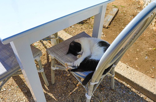 Agni Apartment | Agapi Studio: Charming studio, terrace , views, a few steps from Kalami beach