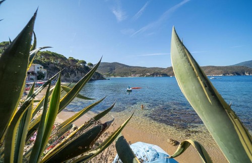 Scaglieri Apartment | Agave direclty on the beach - Goelba