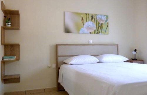 Agios Leon Apartment | Agios Leon Apartment 2
