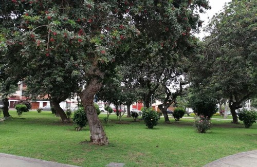 San Miguel Apartment | Agradable y Acogedor Duplex en San Miguel, Lima a 15 min del Aeropuerto