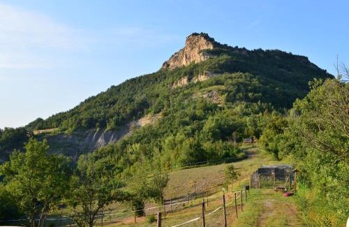 Livergnano Other | Agricampeggio Cà di Mazza