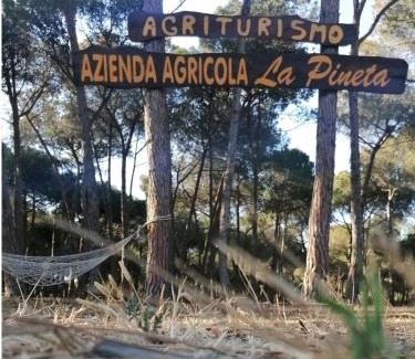Lesina Marina Other | Agricampeggio La Pineta