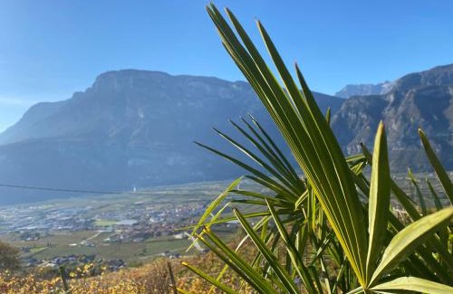 Lavis Apartment | Agritur Chalet Belvedere