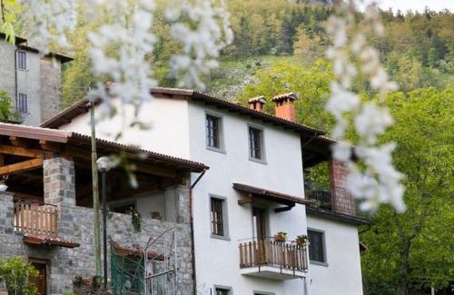 Corfino Villa | Agriturismo dal nonno Merico