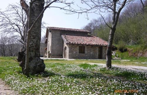 Longi House | Agriturismo il Vignale