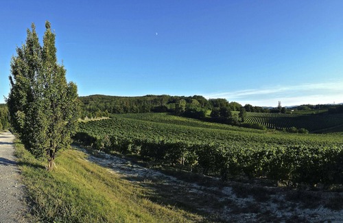 Gavi Hotel | Agriturismo La Meirana