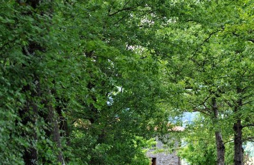 Poppi House | Agriturismo La Pietraia