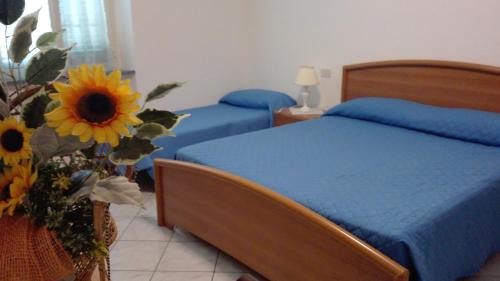 Bolgheri I House | Agriturismo La Rondine