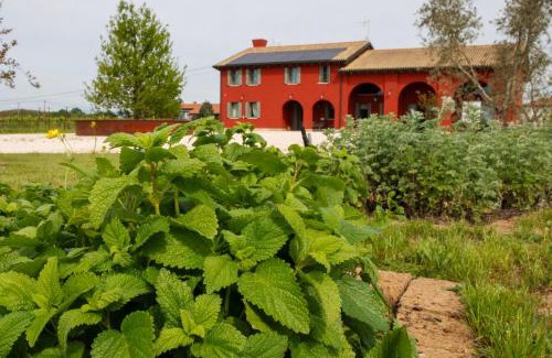 Silea House | Agriturismo La Rosarnetta
