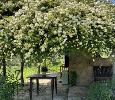 Lubriano House | Agriturismo locanda settimo cielo