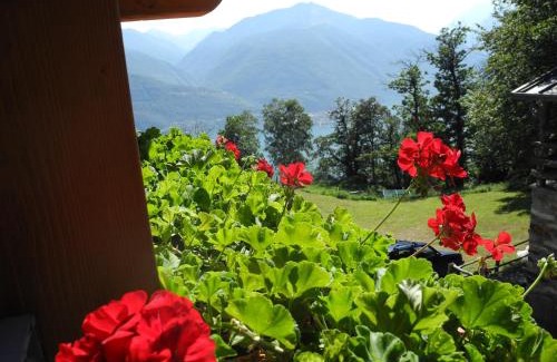 Pianello del Lario Apartment | Agriturismo Piccolo paradiso