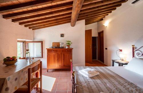 Massa Marittima Apartment | Agriturismo TerraMadre