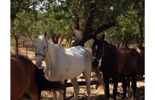 Noto Bed & Breakfast | Agriturismo Vita e Natura 2