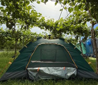 Berat Other | Agro Camping Harmony