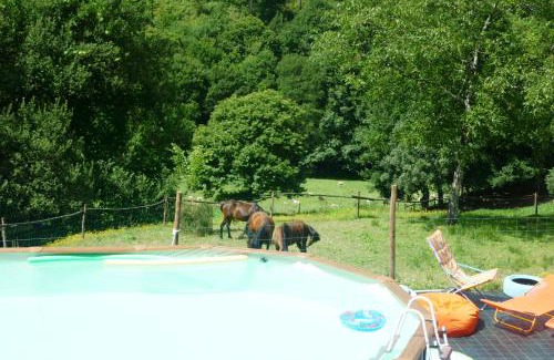 Cabeceiras de Basto House | AgroFarm with Animals - Qta Entre Sebes