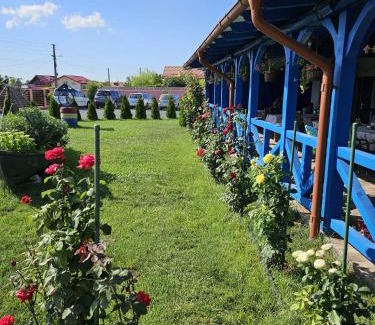 Murighiol House | Agropensiuea Casa Uncu