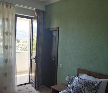 Viisoara House | Agropensiunea Ozon