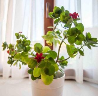Malikovice House | Agropenzion U Bartousku