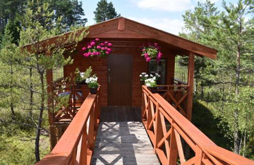 Brodnica Dolna Apartment | Agroturystyka Żabi Dwór