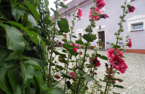 Lesna Apartment | Agroturystyka Leszczynki