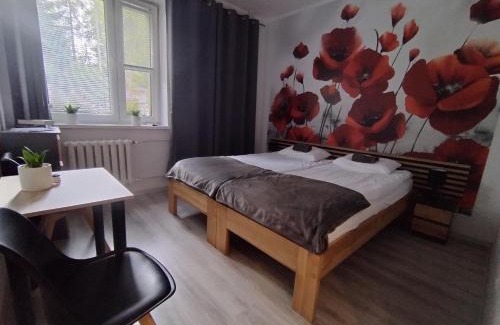Zlocieniec Apartment | Agroturystyka Magnolia