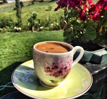 Yenisehir Ski Chalet | AHŞAP EV, DOĞAL YAŞAM, MÜKEMMEL DOĞA, KUŞ SESLERİ