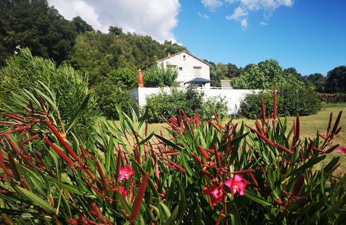 Giuncaggio Villa | air-conditioned house with swimming pool in the heart of corsican vineyards, not overlooked, quiet location.