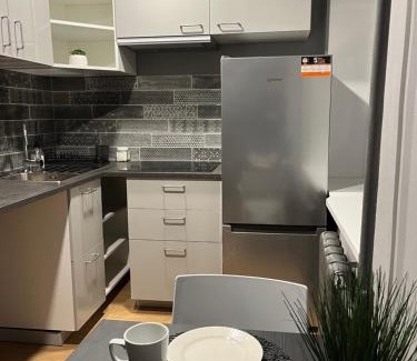 Zemgale Apartment | Aizkraukle Penthouse apartment