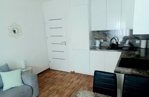 West Pomeranian Voivodeship Apartment | AJP Apartament Szczecin Dąbie