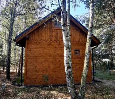 gmina Olsztyn House | Ajurweda na Jurze Agroturystyka