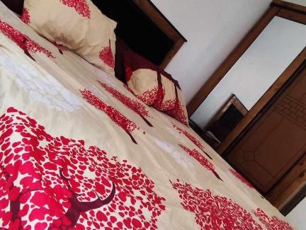 Akid Lotfi Apartment | Akid lotfi résidence mazghana Oran