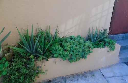 Roiano-Gretta-Barcola-Cologna-Scorcola House | al porticciolo