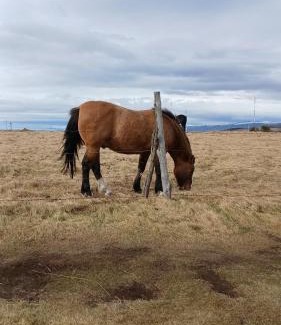 Province of Tierra del Fuego Apartment | Alakalufes House