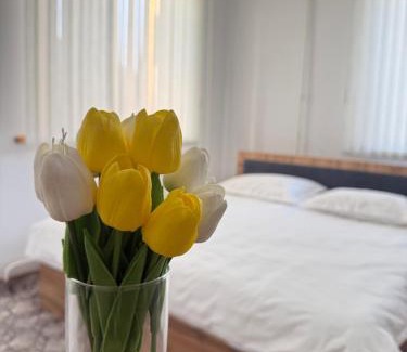 Osh Hotel | Alay-Art Hotel