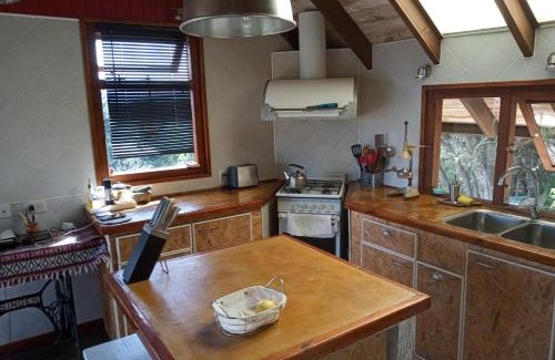 Angostura Ski Chalet | Albatros cabaña