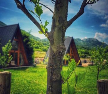 Cetinje House | Albero Casa