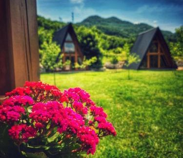 Cetinje House | Albero Casa