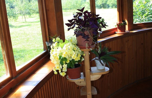 Ozun House | Albinuta guest house is designed for families with children, groups of friends.