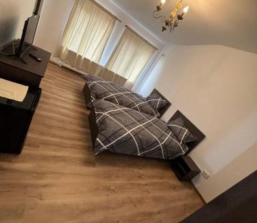 Braila House | Alexander Residence