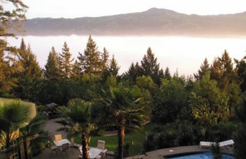 Geyserville Villa | Alexander Valley Lodge w/Pool, Hot tub, Waterfall, Pool table and Tiki Bar