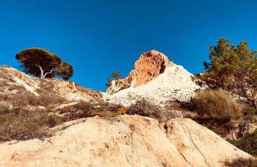 Aldeia das Acoteias Apartment | Algarve Luxury Experience - Situated within the Pinecliffs Resort