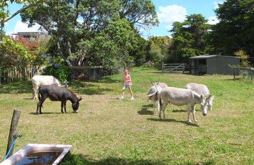 Algies Bay House | Algies Bay holiday home