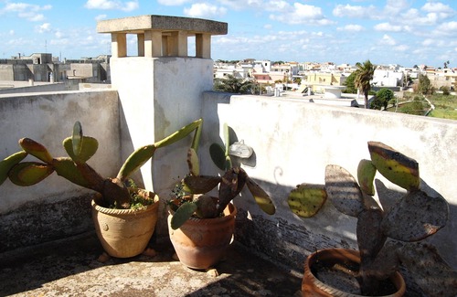 Gagliano del Capo House | All the Salento flavor in a small tower