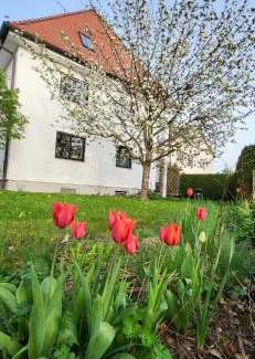 Unterallgau Apartment | Allgäu Retreat