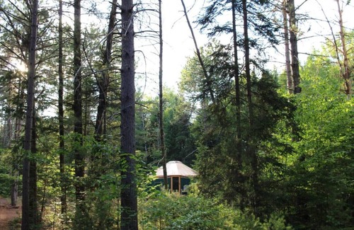 Brownfield RV Rental | Allie Mae Yurt nestled in the woods