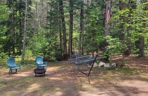 Brownfield RV Rental | Allie Mae Yurt nestled in the woods