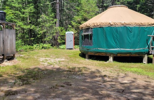Brownfield RV Rental | Allie Mae Yurt nestled in the woods