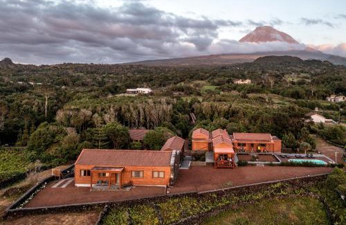 Madalena Apartment | Alma do Pico - Nature Residence